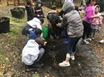 Botanical Garden Field Trip  
